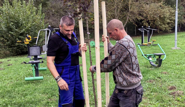 Výsadba stromov - Faültetés 